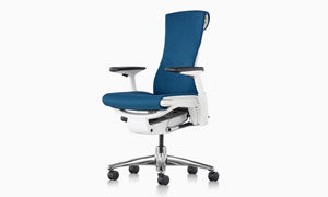 Herman Miller Embody Chair
